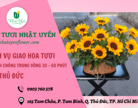 Dịch vụ giao hoa tươi nhanh chóng trong vòng 30 - 60 phút tại Thủ Đức