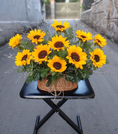 Giỏ Hoa Hướng Dương Chúc Mừng HHH-0001