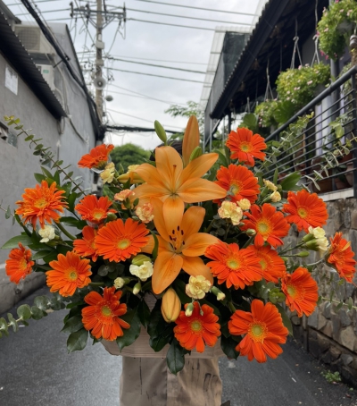 Giỏ Hoa Đồng Tiền - Hoa Tươi Chúc Mừng HCM-0115