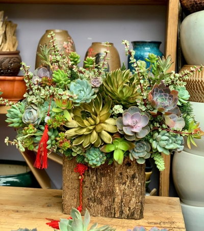 Giỏ Sen Đá Tươi Chúc Mừng