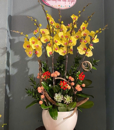 Lan Hồ Điệp Vàng Chúc Mừng NU88