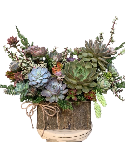 Giỏ Sen Đá Tươi Chúc Mừng 03