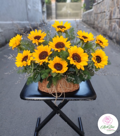 Giỏ Hoa Hướng Dương Chúc Mừng HHH-0001