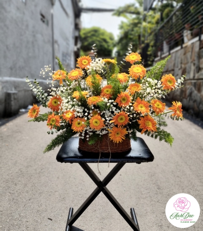 Giỏ Hoa Đồng Tiền Chúc Mừng HĐT-0001