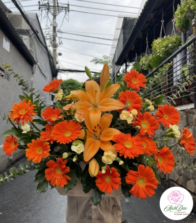 Giỏ Hoa Đồng Tiền - Hoa Tươi Chúc Mừng HCM-0115