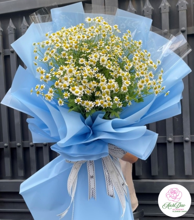 Bó Hoa Cúc Tana Chúc Mừng Tốt Nghiệp HBB-0202