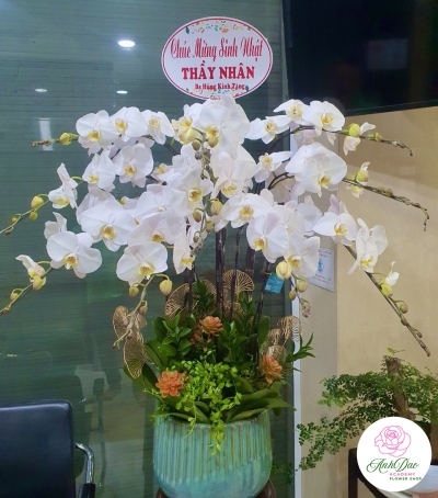 Hoa Lan Hồ Điệp Chúc Mừng - 03