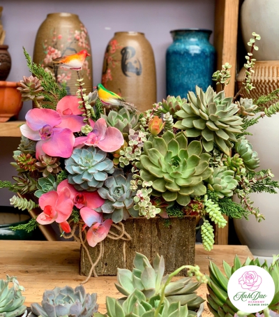 Giỏ Sen Đá Tươi Chúc Mừng 02