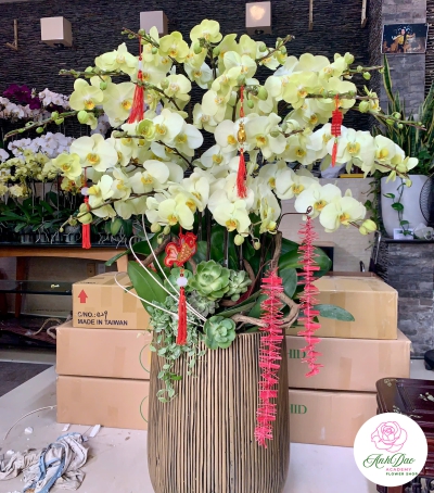 Hoa Lan Hồ Điệp Chúc Mừng NU899