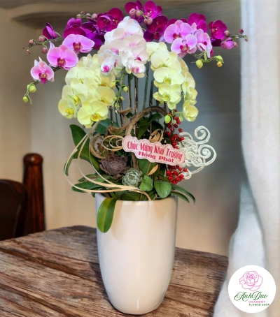 Bình Lan Hồ Điệp Chúc Mừng Khai Trương