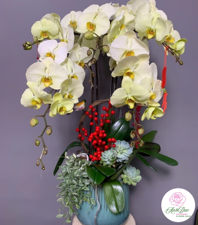 Hoa Lan Hồ Điệp Chúc Mừng NU228