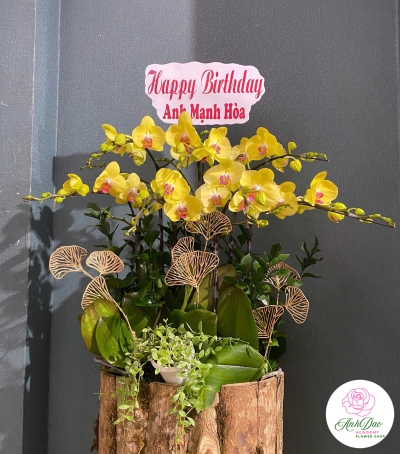 Hoa Lan Hồ Điệp Chúc Mừng Sinh Nhật
