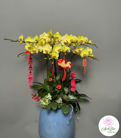 Chậu Hoa Lan Hồ Điệp Vàng - Phú Quý & Thịnh Vượng