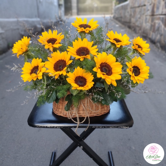 Giỏ Hoa Hướng Dương Chúc Mừng HHH-0001
