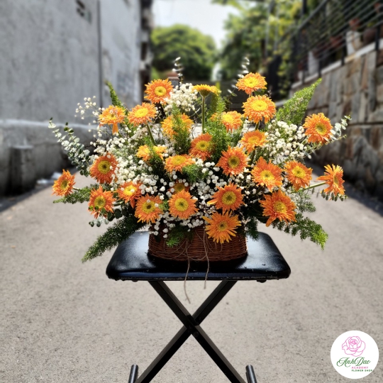 Giỏ Hoa Tươi - Hoa Chúc Mừng HHH-0001