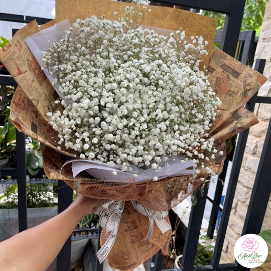 Bó Hoa Baby Chúc Mừng Tốt Nghiệp HBB-0002