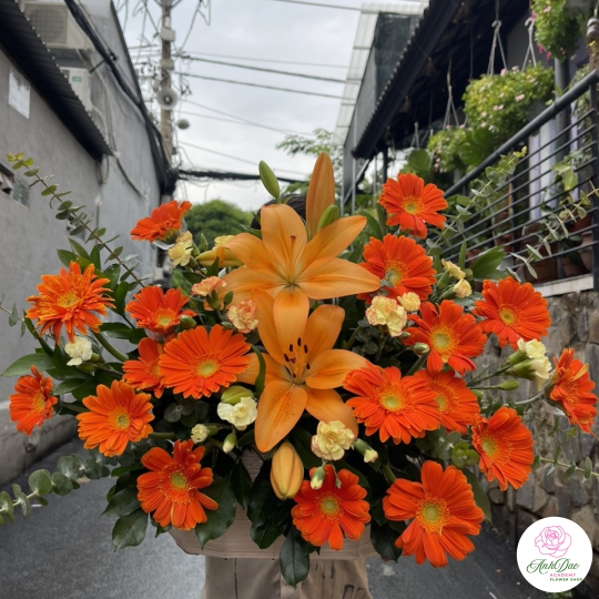 Giỏ Hoa Đồng Tiền - Hoa Tươi Chúc Mừng HCM-0115