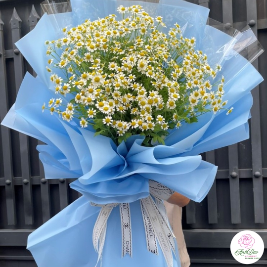 Bó Hoa Cúc Tana Chúc Mừng Tốt Nghiệp HBB-0202