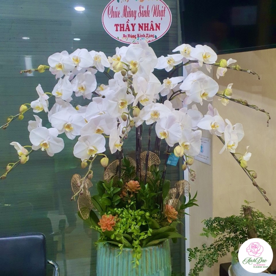 Hoa Lan Hồ Điệp Chúc Mừng - 03