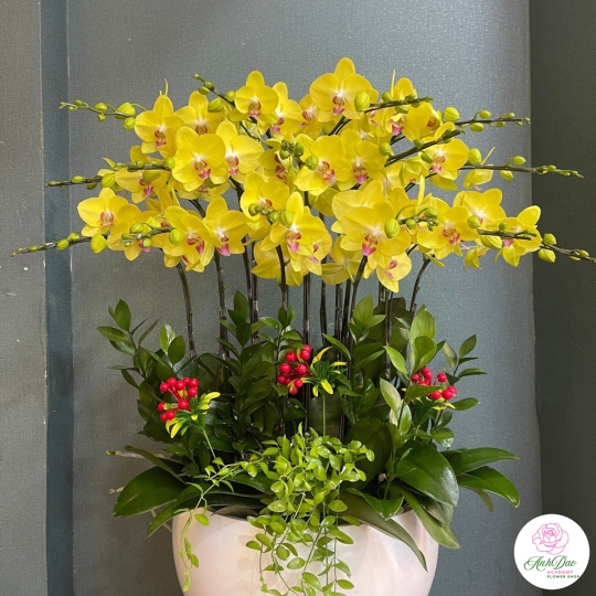 Hoa Lan Hồ Điệp Chúc Mừng - 06