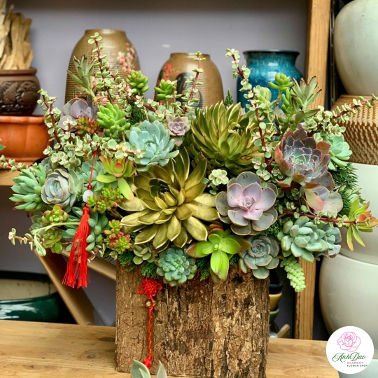 Giỏ Sen Đá Tươi Chúc Mừng