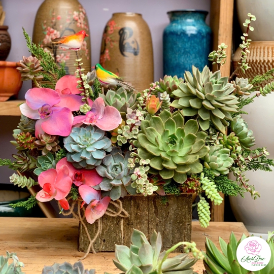 Giỏ Sen Đá Tươi Chúc Mừng 02