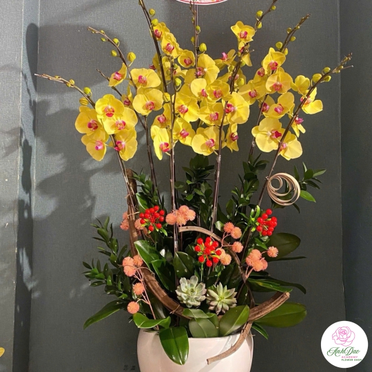 Lan Hồ Điệp Vàng Chúc Mừng NU88