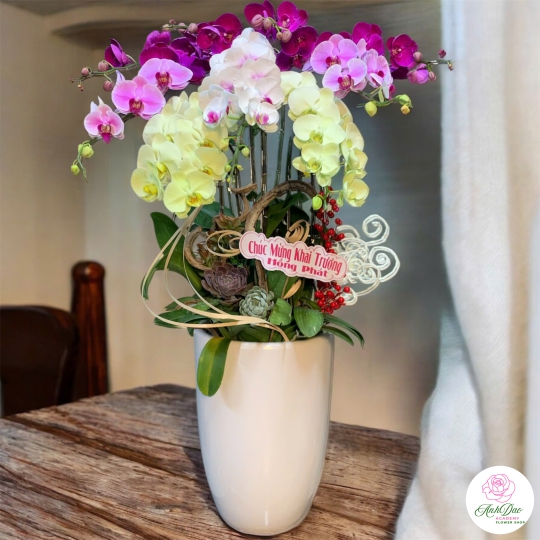 Bình Lan Hồ Điệp Chúc Mừng Khai Trương