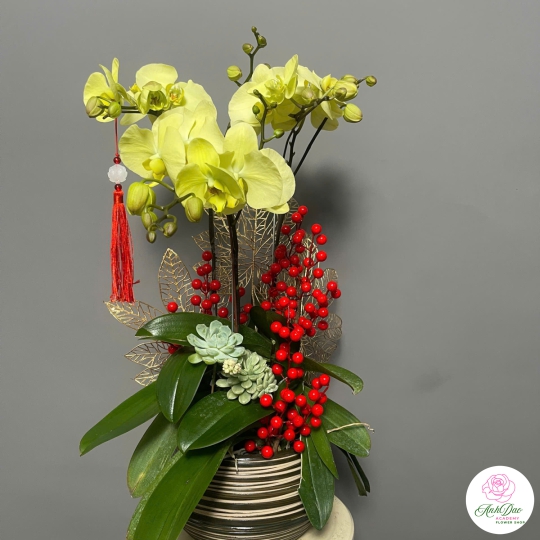 Lan Hồ Điệp Vàng Chúc Mừng 76