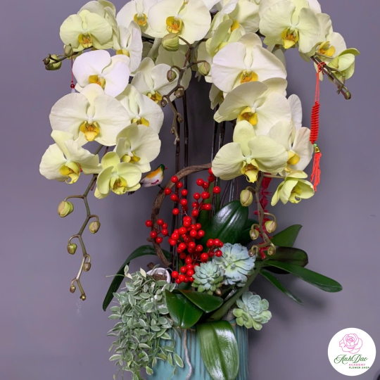 Hoa Lan Hồ Điệp Chúc Mừng NU228